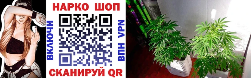 Где найти наркотики Няндома Марихуана  Alpha-PVP  АМФ  Мефедрон 