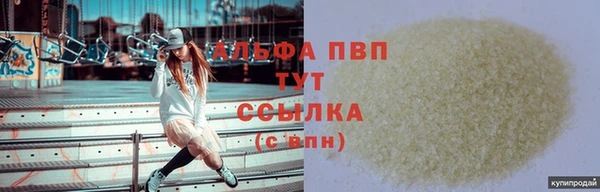 прущие грибы Богданович