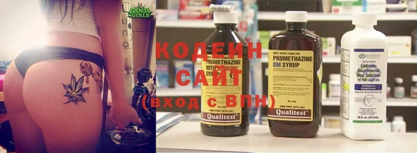 прущие грибы Богданович