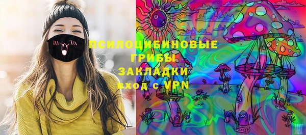 синтетический гашиш Богородицк