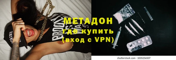 прущие грибы Богданович