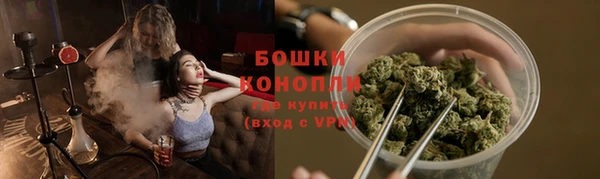прущие грибы Богданович