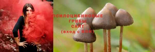 дмт Сясьстрой