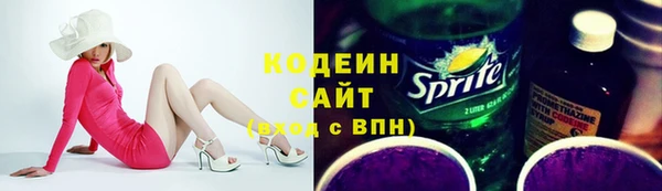 прущие грибы Богданович