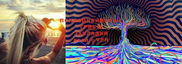 синтетический гашиш Богородицк