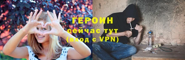 прущие грибы Богданович