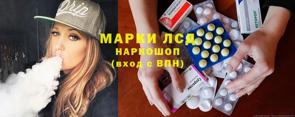 прущие грибы Богданович