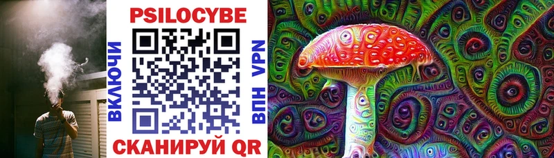 Псилоцибиновые грибы Psilocybine cubensis  Няндома 